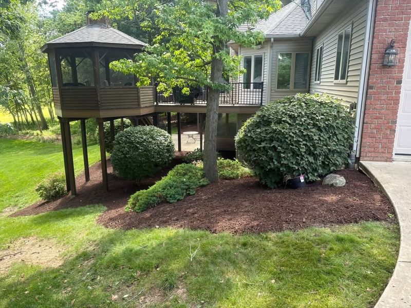 Landscape Design & Installation