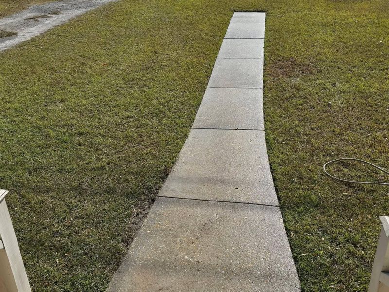 Walkway and driveway cleanup