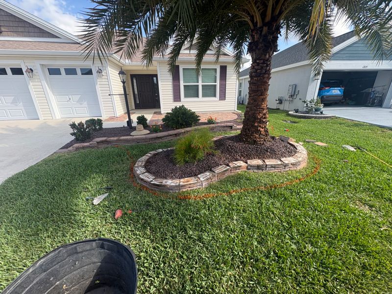 Tree & Shrub Care