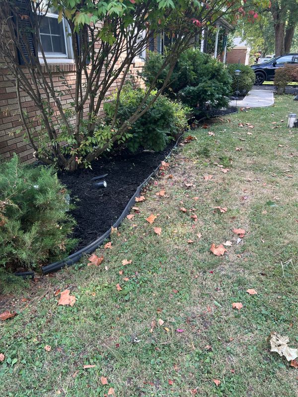 Tree & Shrub Care