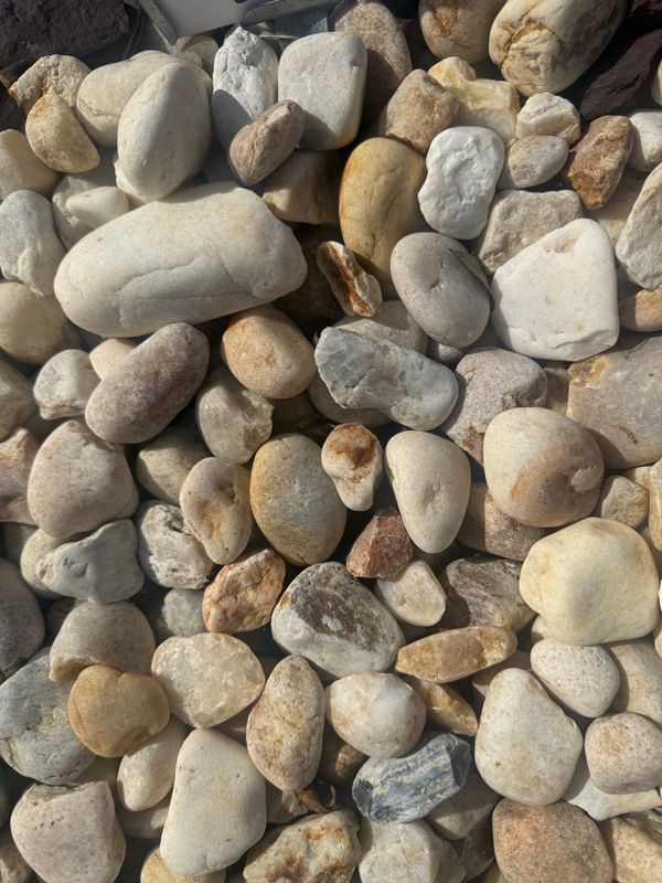 rocks
