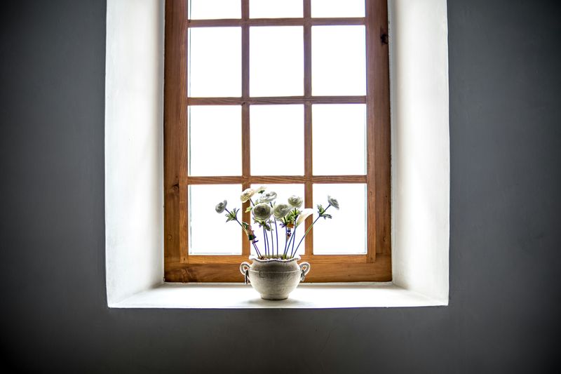 Windows & Doors