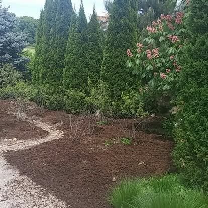 Garden Maintenance