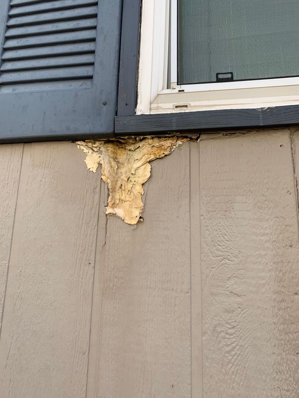 Siding Repairs & Repaint