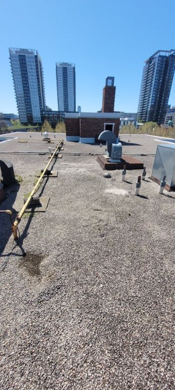 Revitalizing Urban Protection: Comprehensive Roof Repair & Maintenance by Triumph Inc.