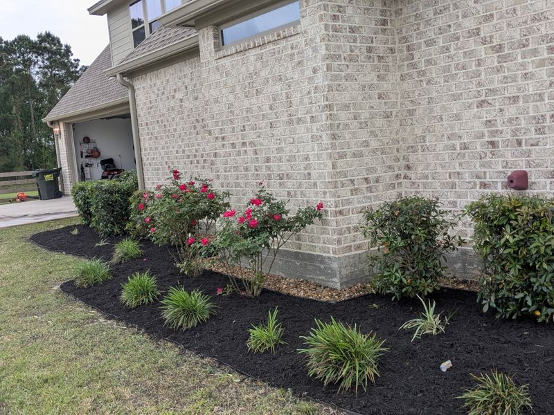 Lawn Maintenance