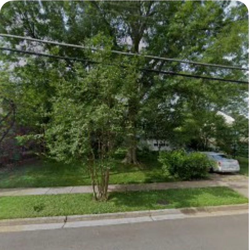 Transformative Landscape Renewal: Expert Tree Trimming and Garden Care by R Merkli Inc.