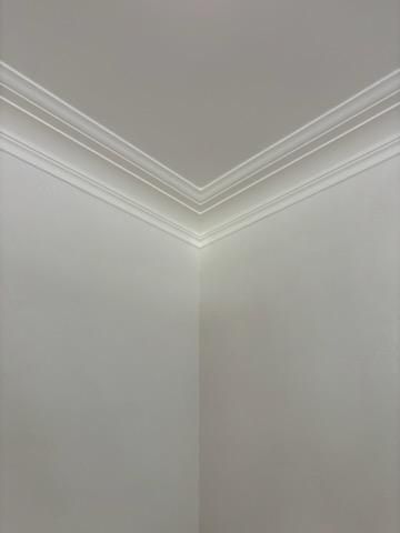 Plaster Repair