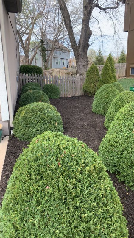 Landscape Maintenance