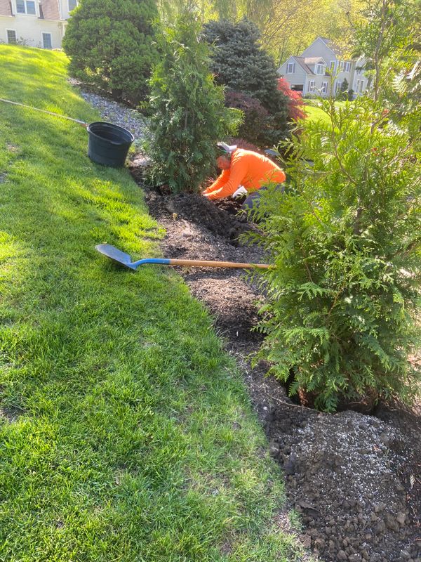 Landscaping