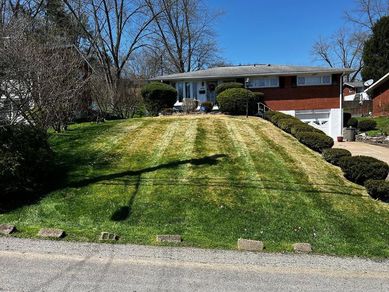Lawn Maintenance