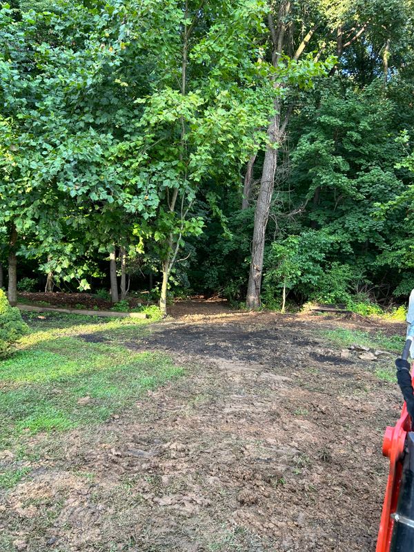 Land Clearing