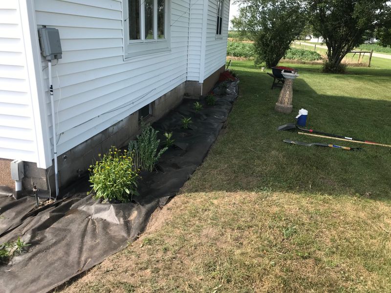 Mulch Installation