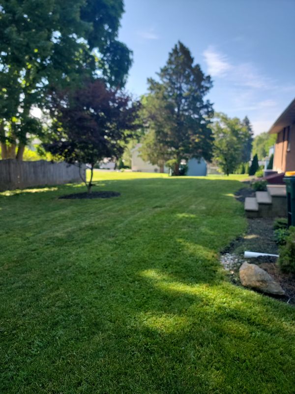 Lawn Care