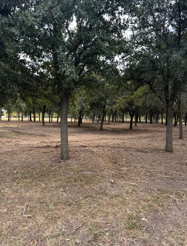 Pasture & Lot Mowing