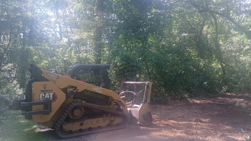 Land Clearing