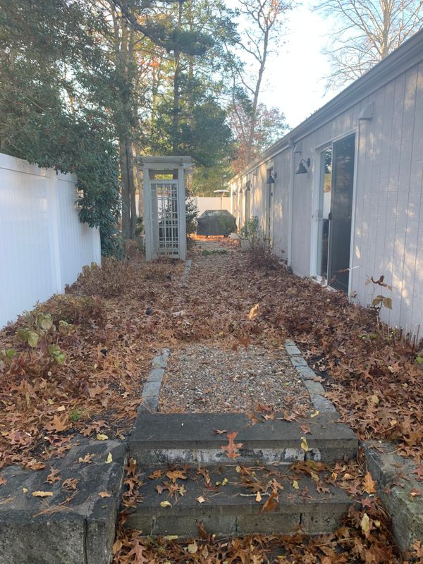 Fall CleanUp