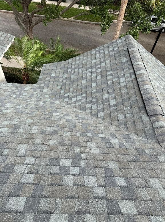 Stunning Roof Transformation in the Heart of Downtown