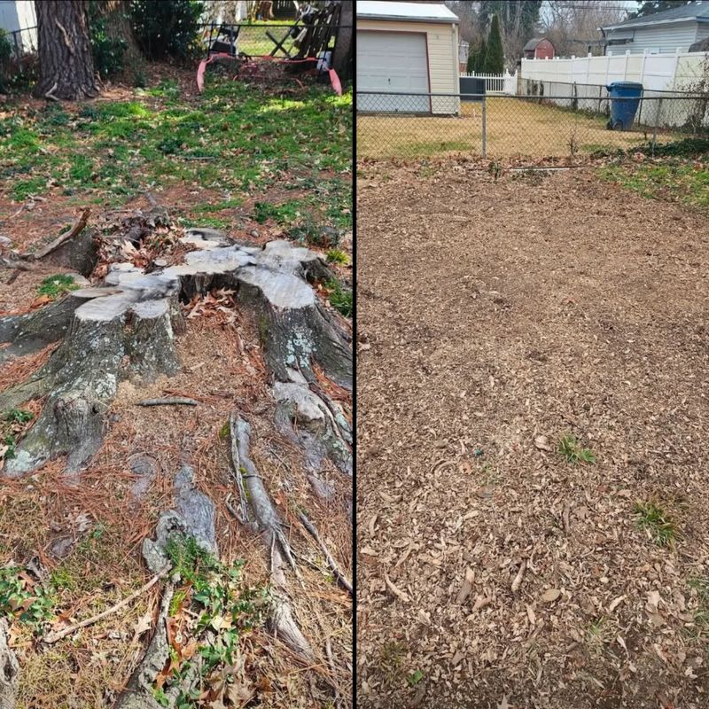 Wood Chips and Debris Removal
