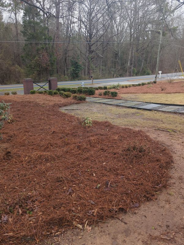 Mulch Installation