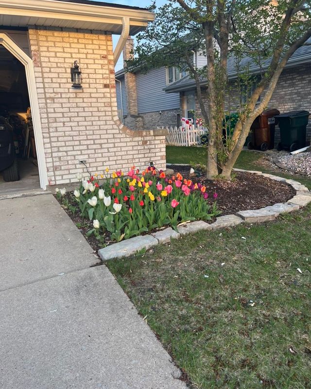 Landscape Design & Installation