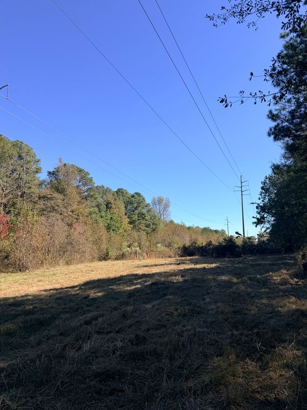 Land Clearing