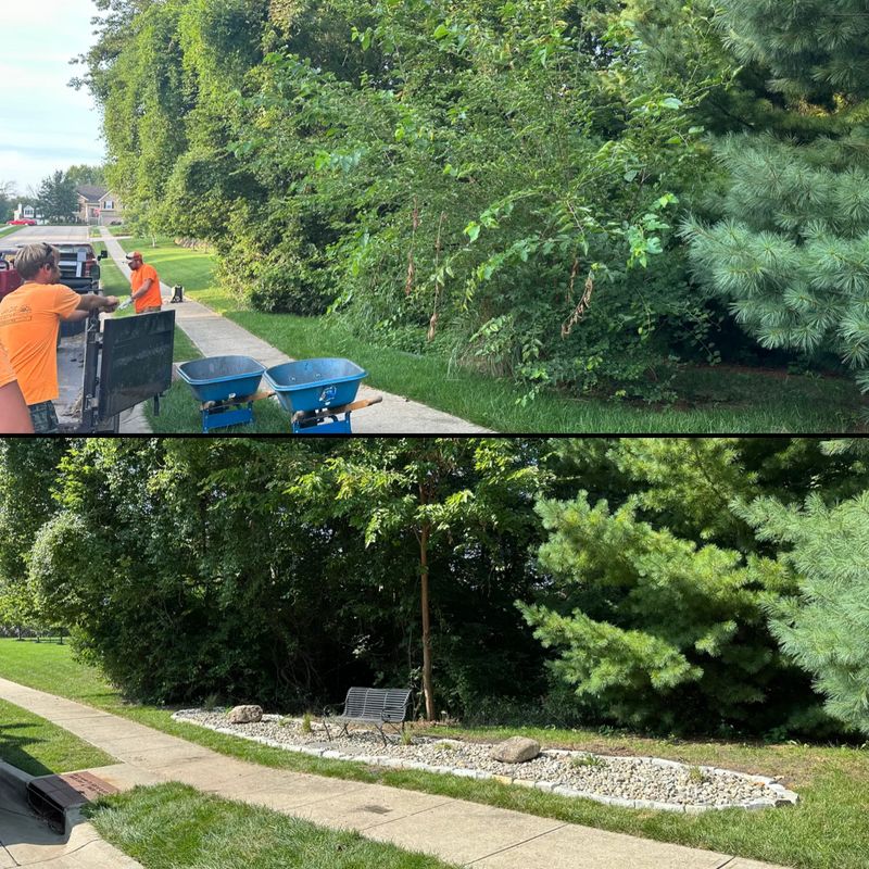 Before and After Transformations