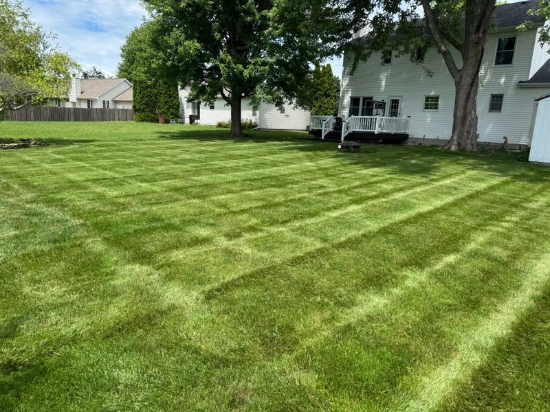 Weed Control