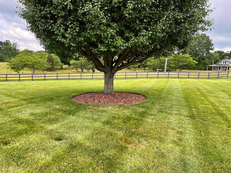 Lawn Maintenance