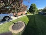 Lawn Maintenance
