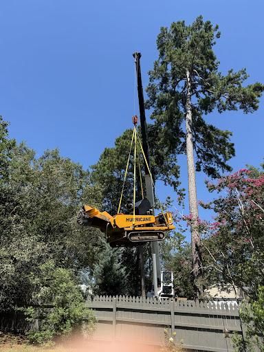 Stump Excavation