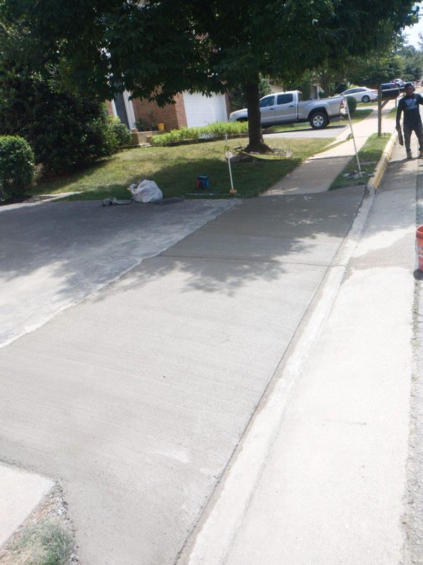 Transforming Lorton’s Greenspaces: Advanced Tree Care Solutions by Branch Out Tree Care LLC