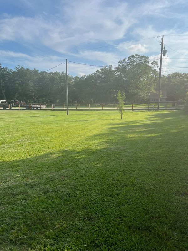 Lawn and Yard Maintenance