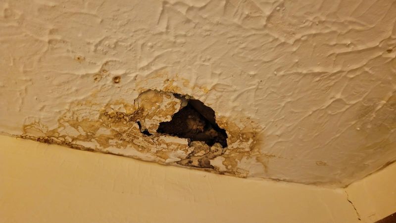 Interior Renovations