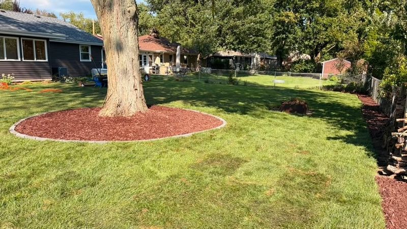 Sod Installation