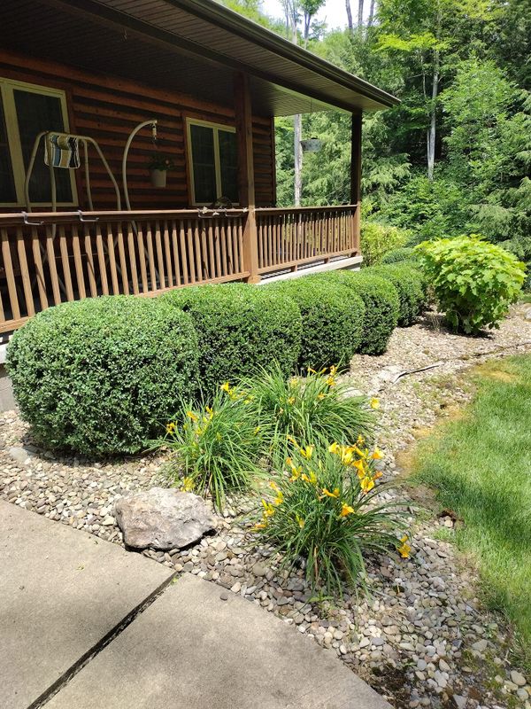 Landscaping