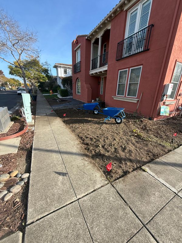 Landscaping
