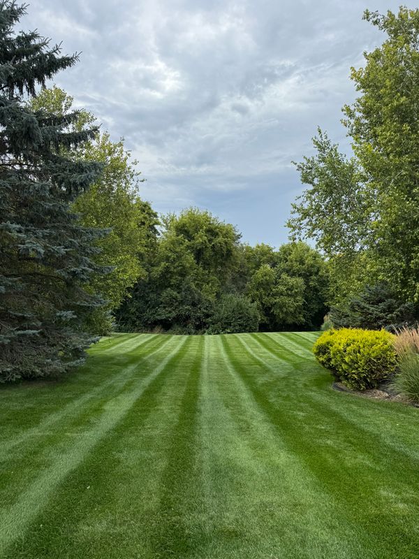 Fertilization & Weed Control