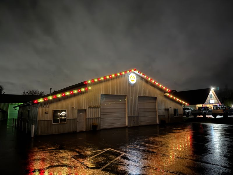 Christmas Lights