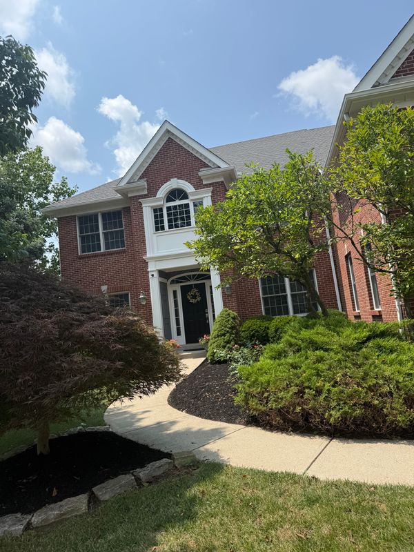 Mulch Installation