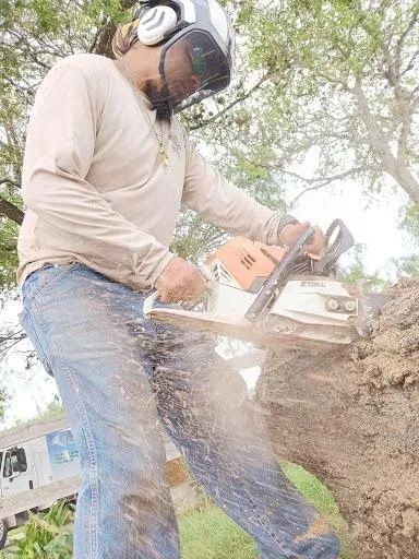 Tree Removal