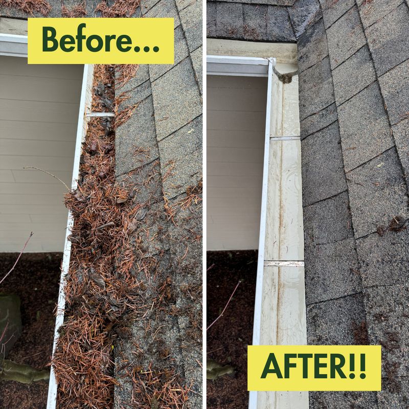 Before & After Photos