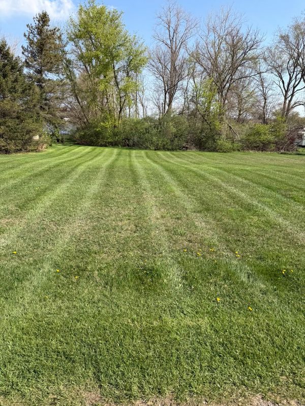 Lawn Mowing and Maintenance