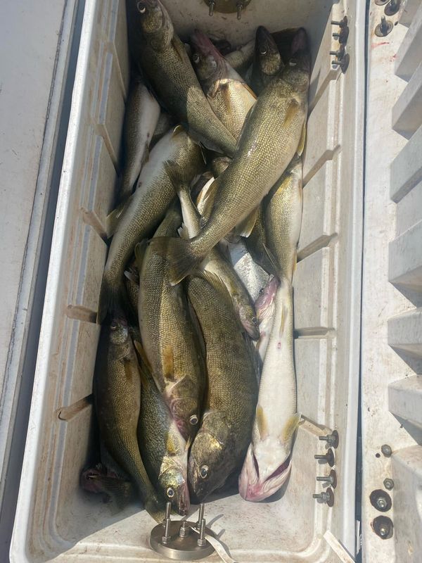 Fishing Charters