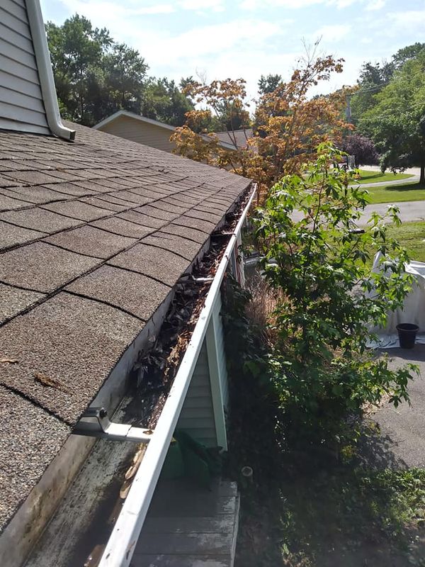Gutter Cleaning