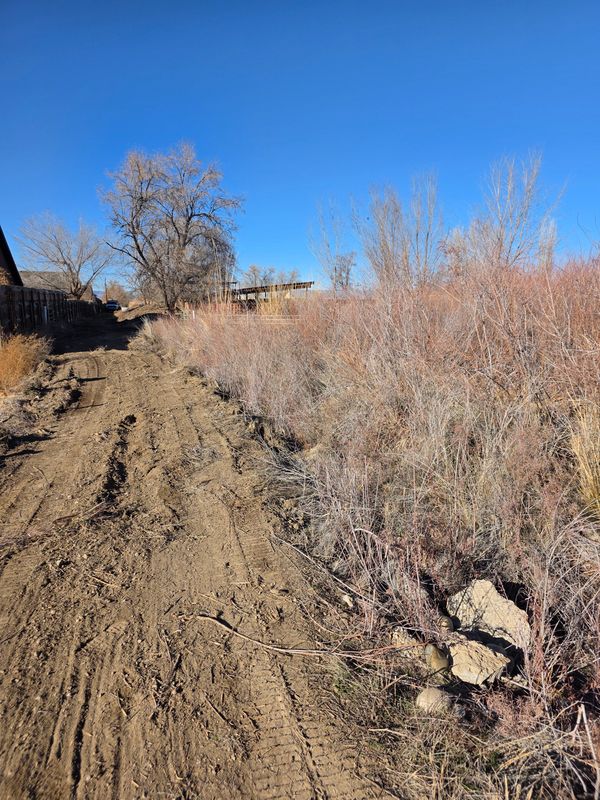 Site Preparation