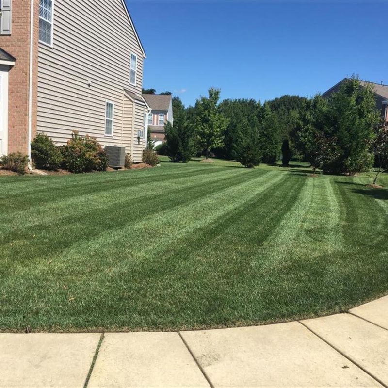 Landscaping