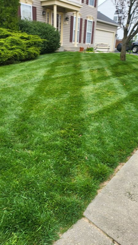 Grass Mowing