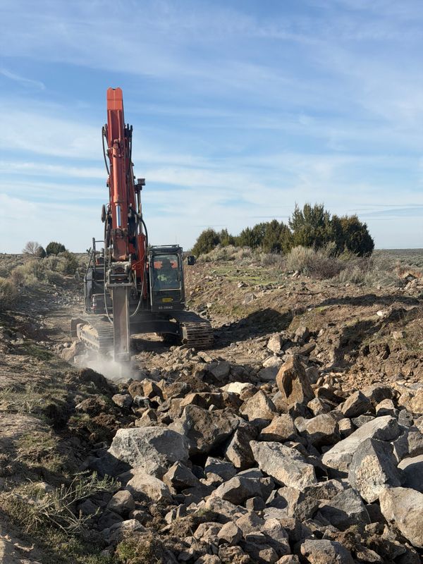 Skid Steer Work