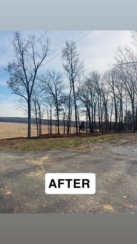 Before and After Transformations